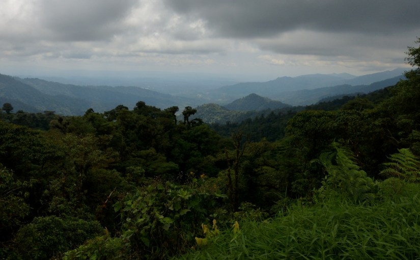 The Amazon Remembered