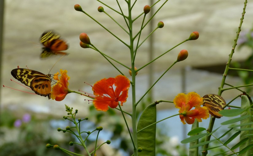 And the winners&nbsp;are…