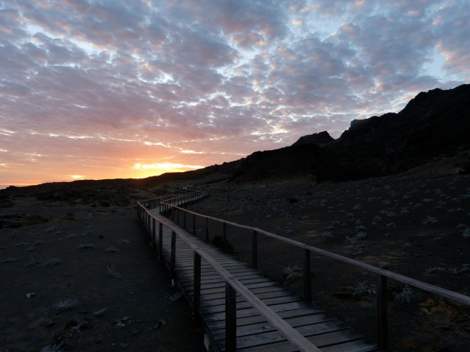 pinnacle rock sunrise