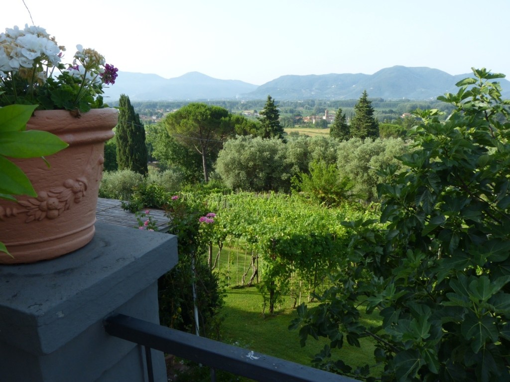 20120701-181111.jpg