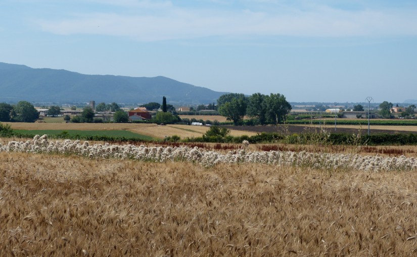 Bike, Sweat, Drink…(with apologies to Elizabeth&nbsp;Gilbert)
