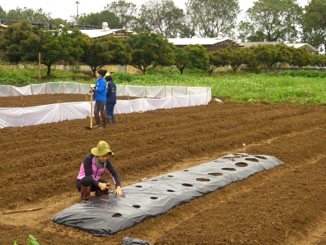 To rice paddies, we saw it all