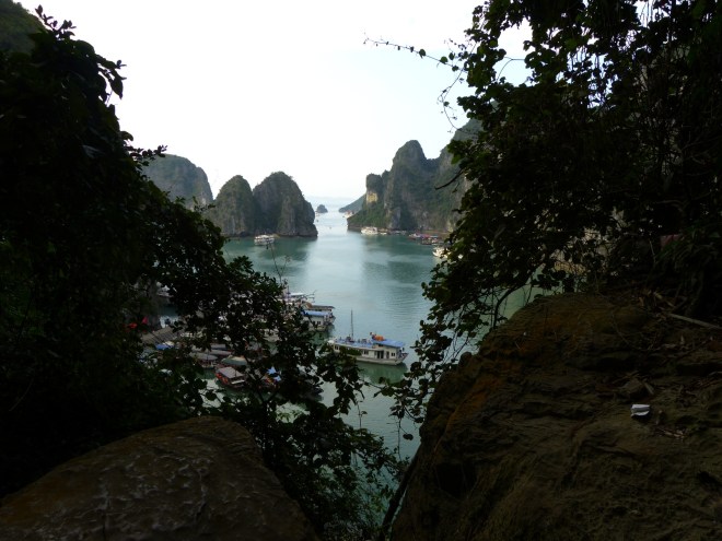 I couldn't resist posting two shots--one framed,one not. You get to choose which you prefer.