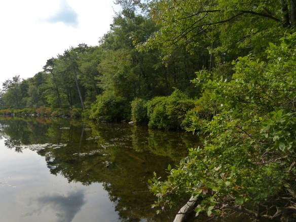Darn dragonfly was moving too fast --but at least the lake is pretty