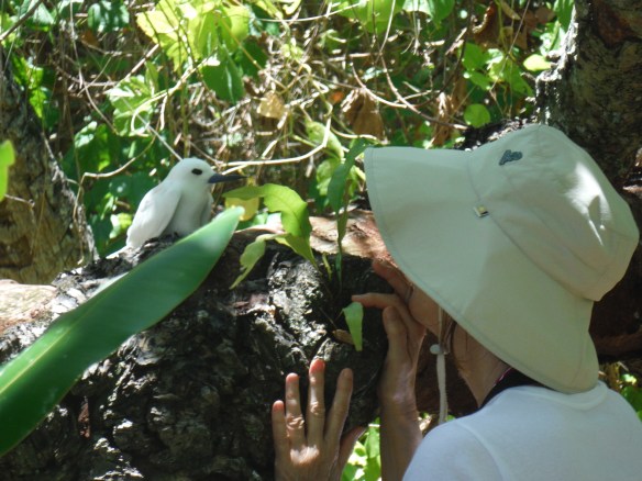 Big deal--Ozzie captured a bird. Even I could have caught THIS guy.