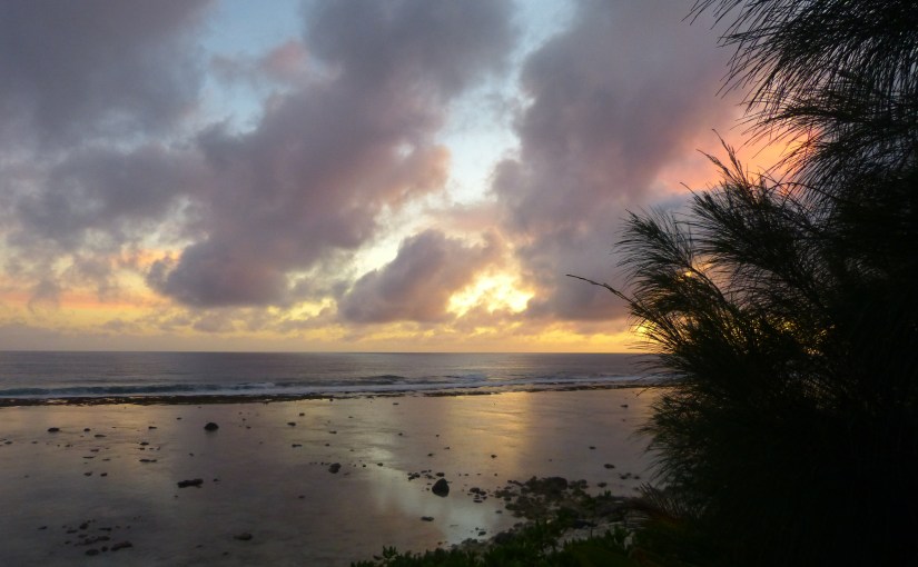 Seven Selfish Reasons to Become a Cook Island Global&nbsp;Volunteer