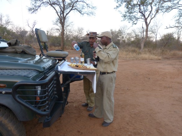 We had our picnics during our two daily game drives: coffee and pastries to tide us over till our huge breakfast, and "sundowners" (beverage of choice--mine was wine) in the afternoon.  