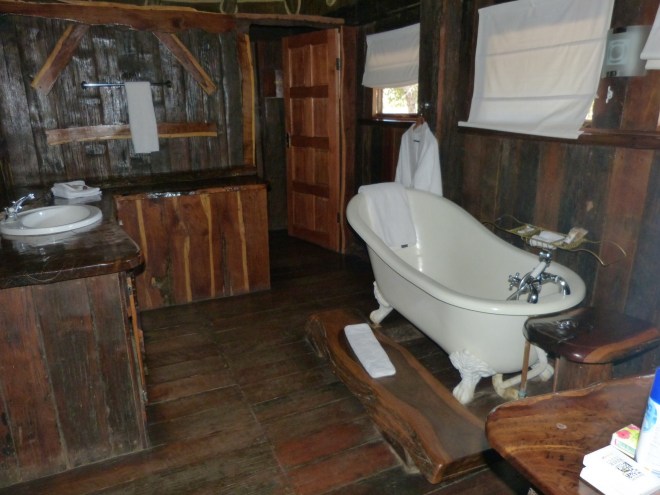 If you think the tub is great, just wait till you see the shower!