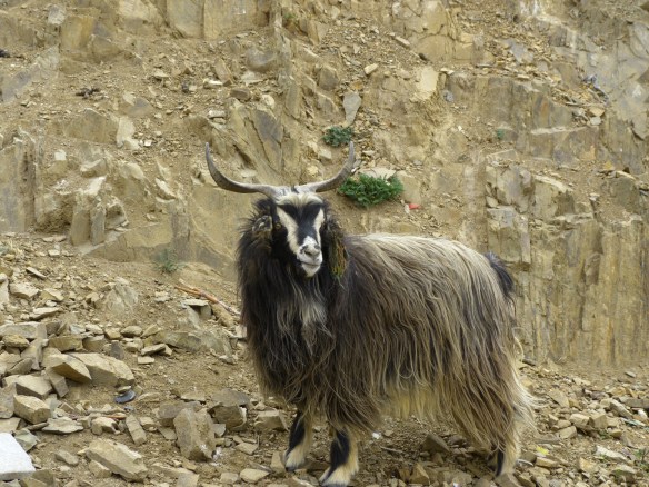 He was as interested in us as we were in him.