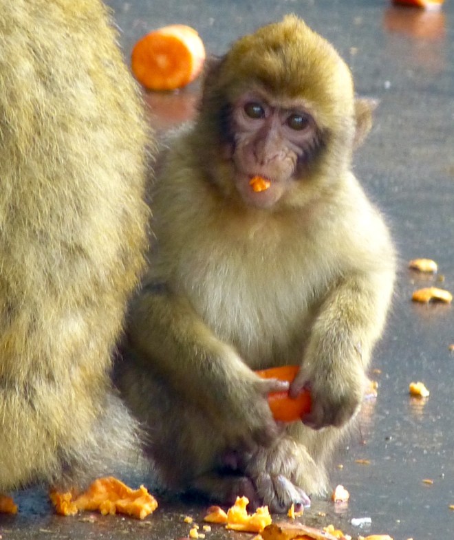 78E241BD-2388-4088-9601-C9A028433F2B