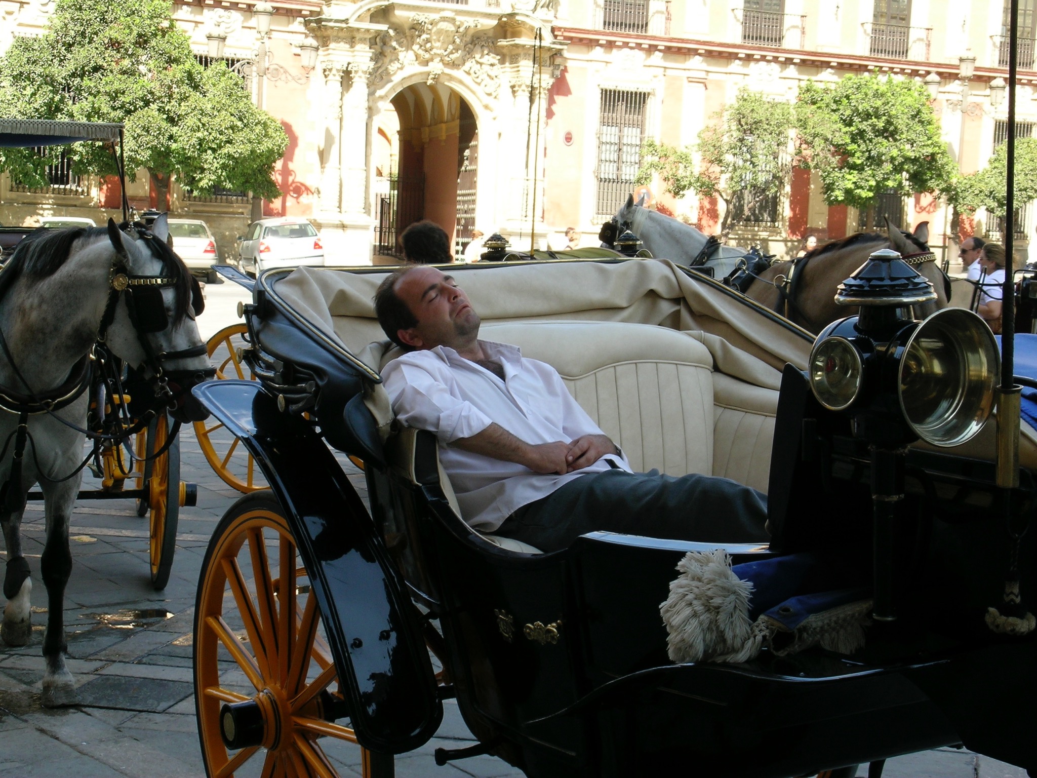 89562CFF-C888-49CB-A5A8-450694E79971