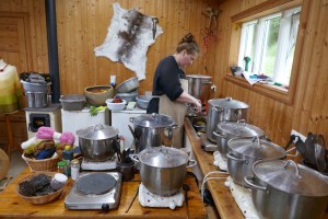 CBAC040C-4A7C-4401-8DCE-BC4E43710BA3