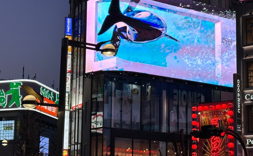 Highlights: Tokyo at&nbsp;Night