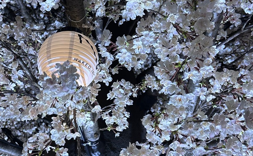 Kyoto, On Our&nbsp;Own