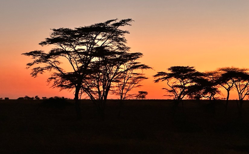 Up, up and&nbsp;away…