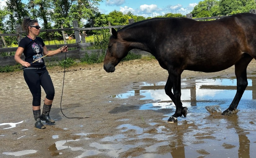 Slavonice, Czech Republic