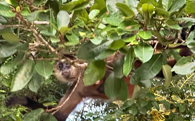 Tortuguero, Costa Rica