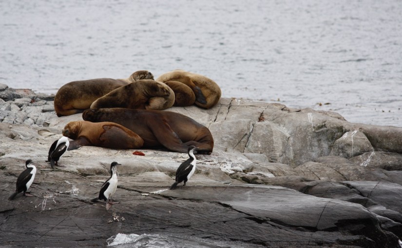 Ushuaia, and the Drake&nbsp;Passage