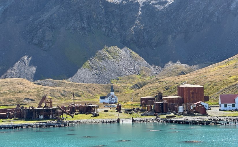 South Georgia Islands, Part&nbsp;Two