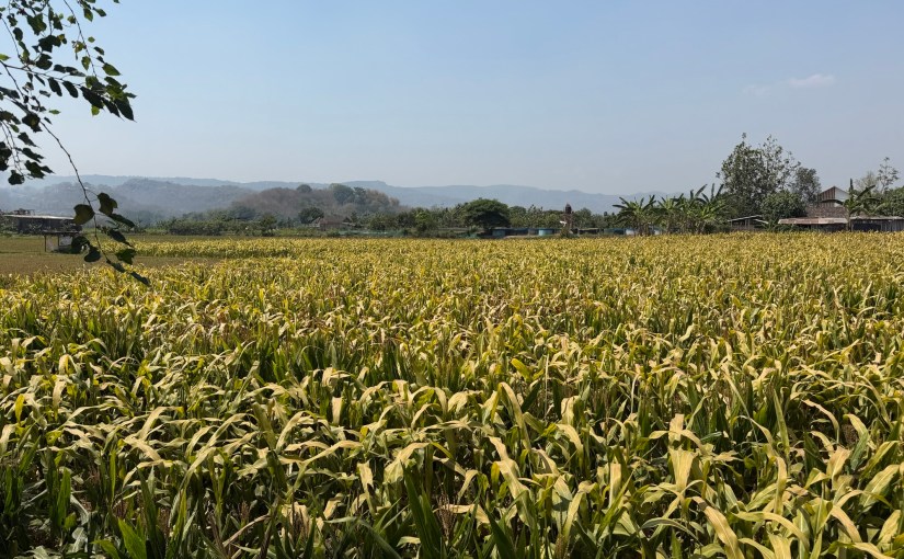 Four Nights in Yogyakarta – Part&nbsp;1